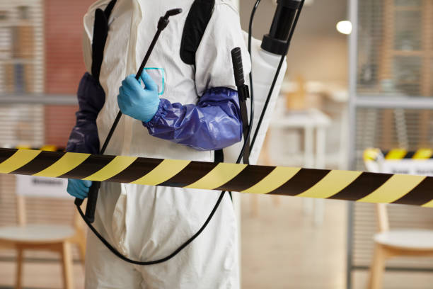 Professional Sewage Cleanup technician working in South Dennis, NJ